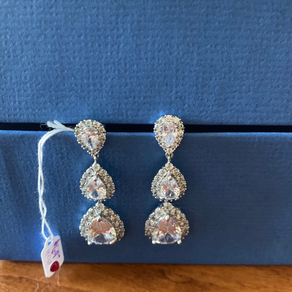 NWT Teardrop Earrings
